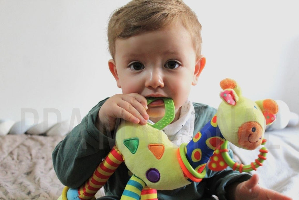 JIRAFA SENSORIAL